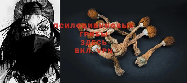 стафф Богородицк