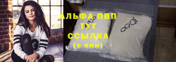 ешки Богданович