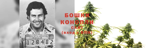 ешки Богданович