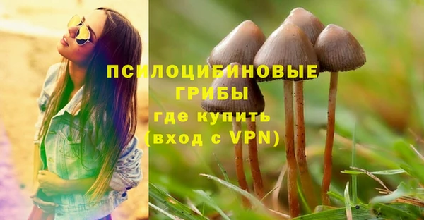 ешки Богданович