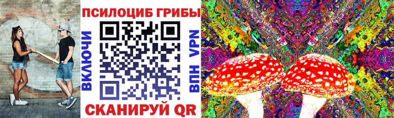 блэк спрут маркетплейс  Миллерово  Псилоцибиновые грибы Psilocybine cubensis 